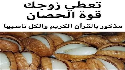تعطي زوجك قوة الحصان مذكورة بالقرآن الكل ناسيها.. شاهد