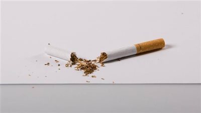 الطعام يقوم بحماية الرئتين من اثار التدخeن إحرص على أكله مرة على الاقل في الاسبوع