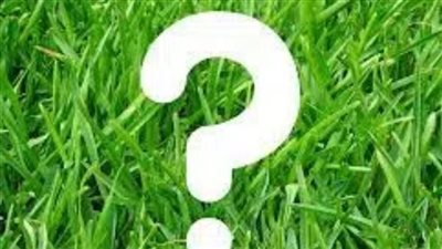 من هو النبى الذى حبس فى بئر مع أسدين لعدة أيام ولم يأكلاه