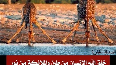 سؤال دينى مهم جدا مما خلقت lلحېۏlڼlټ ؟