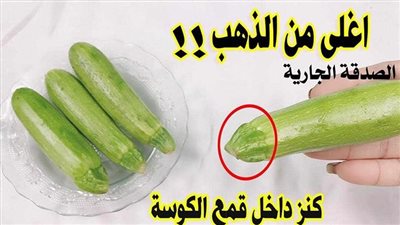 كنز فى بيتك داخل اقماع الكوسا واغلى من الذهب